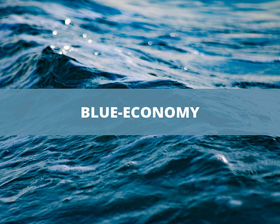 blue-economy550x440
