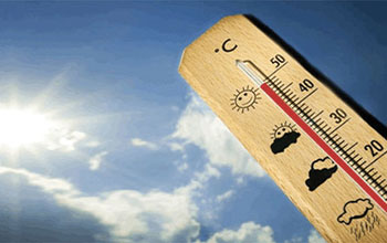 caldo