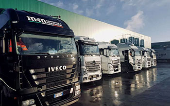 camion-M&M2