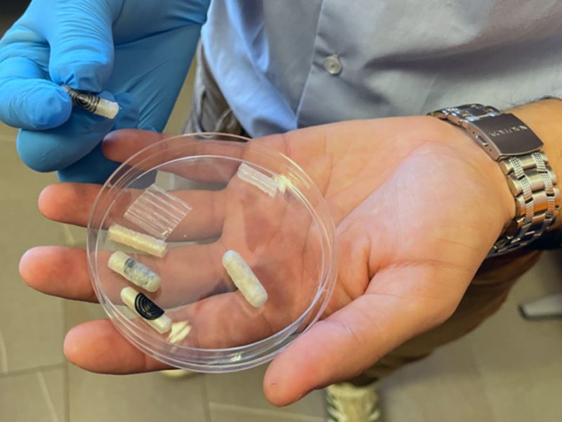 capsula-4D-UNIVERSIT-PISA