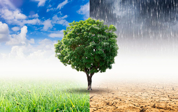 clima2