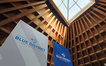 cuspidi_Blue-District