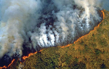 deforestazione-amazzonica