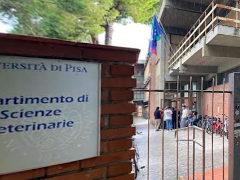 dipartimento-scienze-veterinarie-universit-pisa