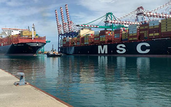 due-navi-MSC-nel-porto-Gioia-Tauro