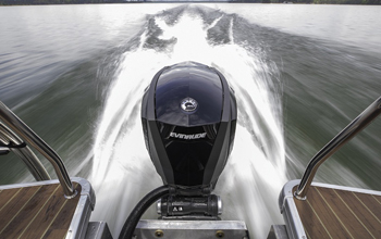evinrude3