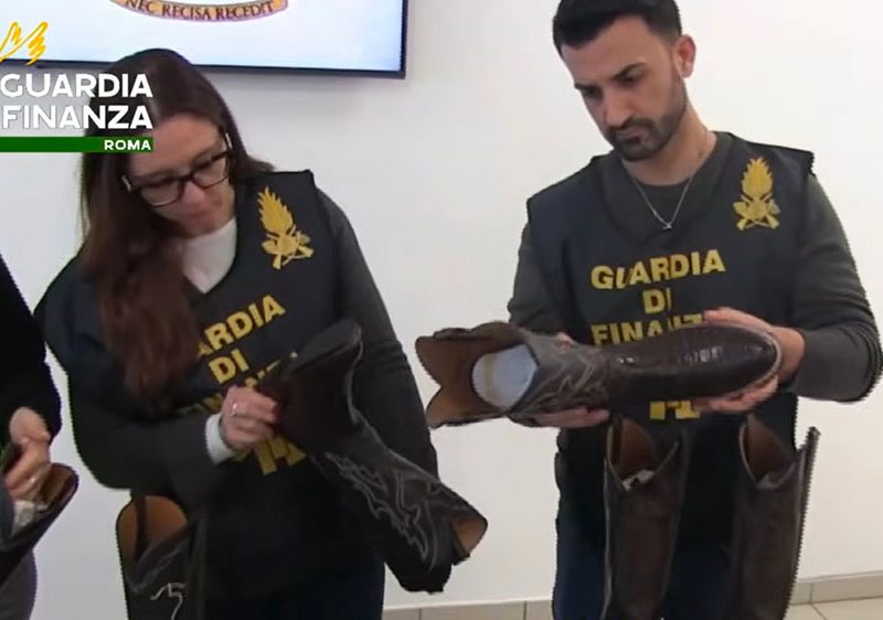 finanza-e-dogane-contro-commercio-illecito-di-pelli-vietate-a-aeroporto-Fiumicino-y1