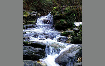 fiume