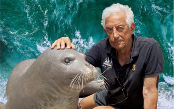 foca-monaca2