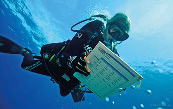 giornata-mondiale-ocean-ENGAGE