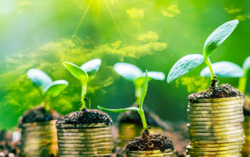 green-investimenti