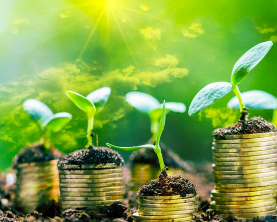 green-investimenti550x440