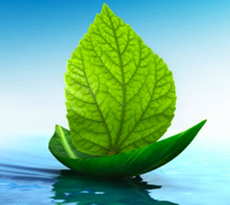 green-ship450x400