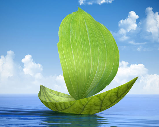 green-shipping550x440