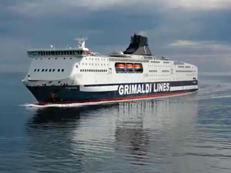 grimaldilines1y
