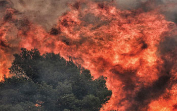 incendio2