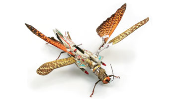 libellula-LEONARDO
