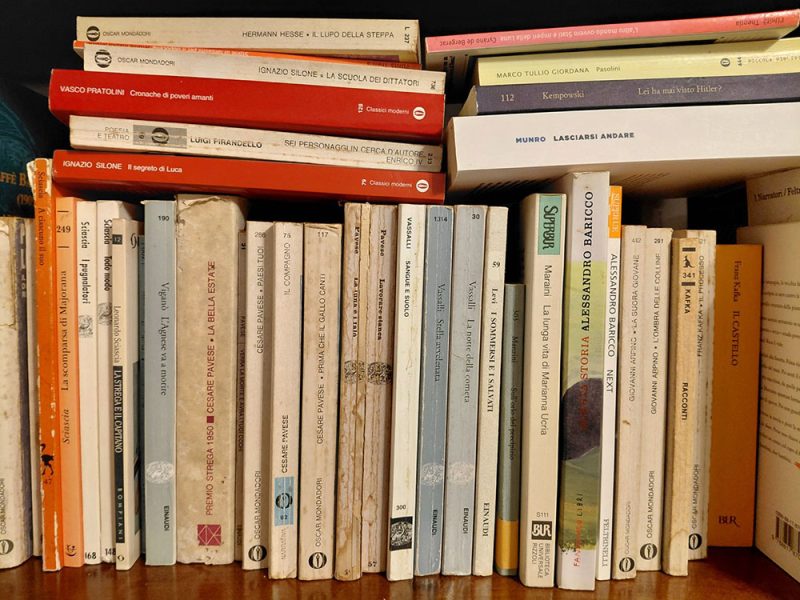 libri-negli-scaffali-di-una-libreria-2zm