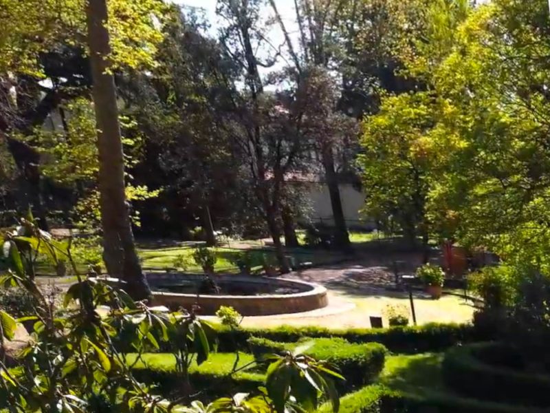 l’orto-botanico-dell’università-di-Firenze-1y1