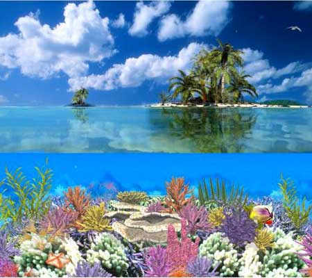 mare-e-ambiente