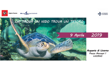 meeting-acquario