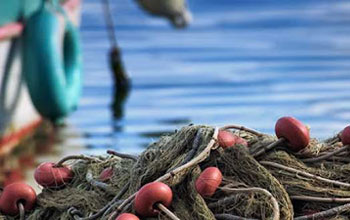 pesca-acquacoltura