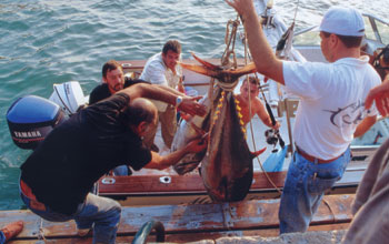 pesca