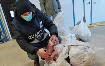 pescato-illegale
