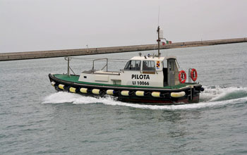 pilotina