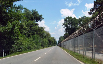 pisa_camp_darby