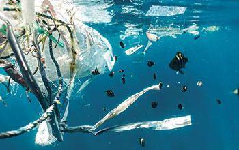 plastica-mare2