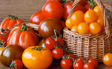 pomodori