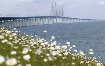 ponte-danese