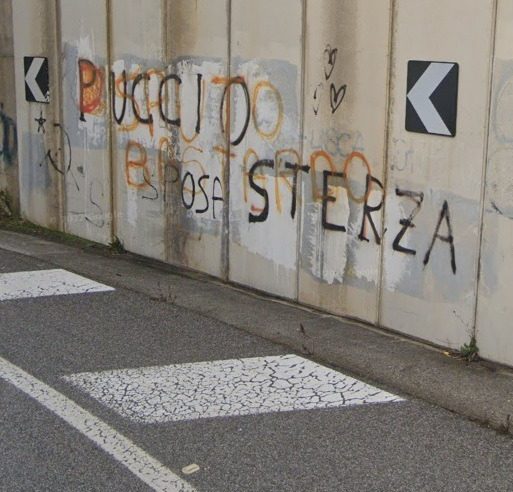pucciosterza