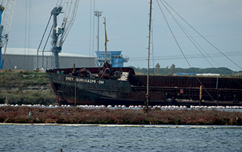 relitto-cimitero-navi-RA_fenicotteri-rosa