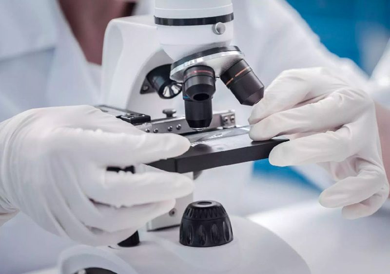 ricerca-microscopio-scienza-unifi-com1