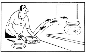 sardine
