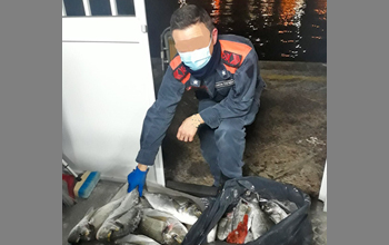 sequestro-orate-Guardia-Costiera