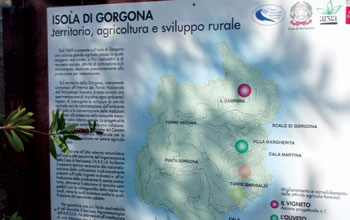 sperimentazione