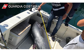 stop-pesca-TONNO-ROSSO