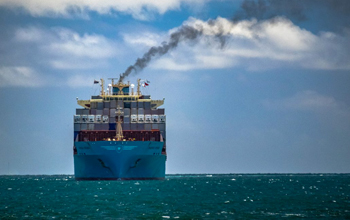 sulphur-cap-2020-fumi