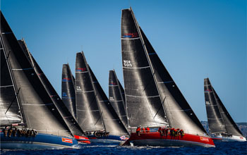swan-regata