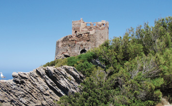 torre-Gorgona