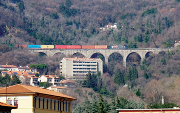 treno-cargo-sulla-linea-transalpina-Trieste