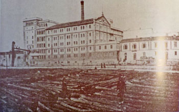 tronchi