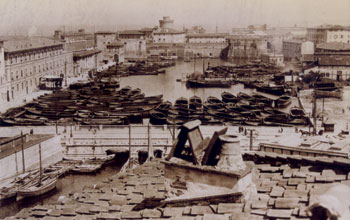 vecchi-Navicelli