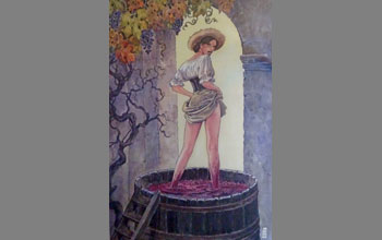 vendemmia