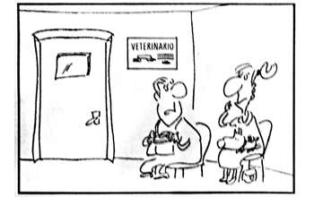vignetta-Veterinario
