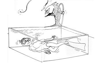 vignetta-gli-acquari