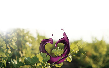 vinitaly2021